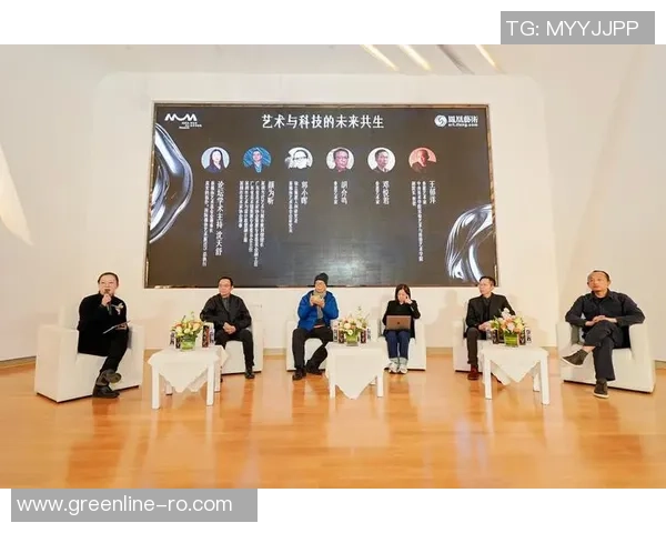 一板一眼穿甲霞的艺术魅力与文化内涵探讨